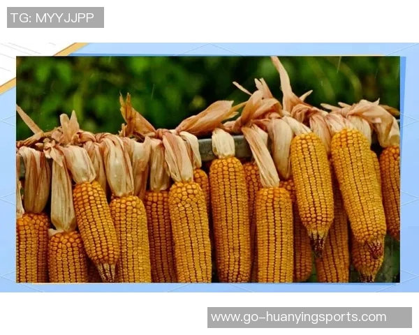 掌握颠足球的技巧与练习方法助你提升球技的全面指南 掌握颠足球的技巧与练习方法助你提升球技的全面指南