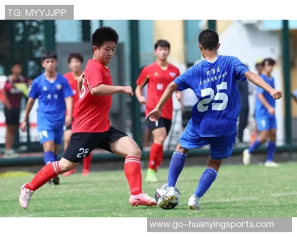 足球问题的多样性与解决方案探讨如何提升青少年足球水平与参与度